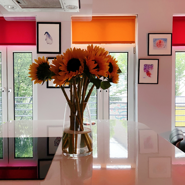 OpenGraph image for photo.cate.blog/2020/06/%f0%9f%8c%bb-2/