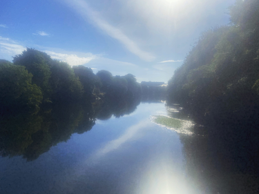 OpenGraph image for photo.cate.blog/2020/07/%e2%98%80%ef%b8%8f-5/