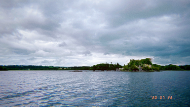 OpenGraph image for photo.cate.blog/2020/07/%f0%9f%8c%8a-3/