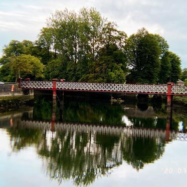 OpenGraph image for photo.cate.blog/2020/07/%f0%9f%8c%b3%f0%9f%8c%b3%f0%9f%8c%b3-2/