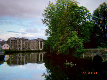 OpenGraph image for photo.cate.blog/2020/07/%f0%9f%8c%b3-14/