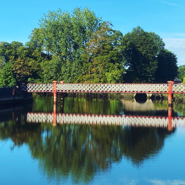 OpenGraph image for photo.cate.blog/2020/07/%f0%9f%8c%b3-15/