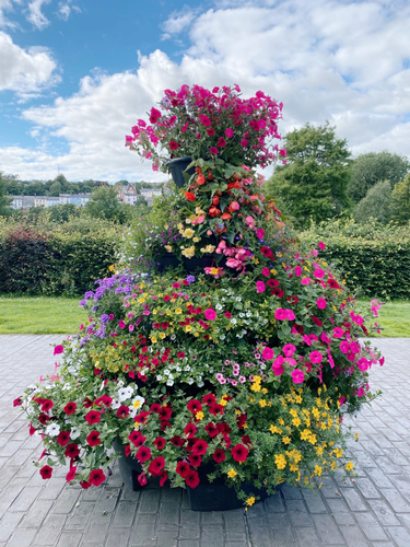 OpenGraph image for photo.cate.blog/2020/07/%f0%9f%8c%b8-5/