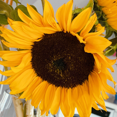 OpenGraph image for photo.cate.blog/2020/07/%f0%9f%8c%bb-3/