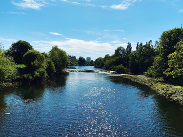 OpenGraph image for photo.cate.blog/2020/07/%f0%9f%92%a6-4/