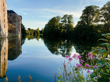 OpenGraph image for photo.cate.blog/2020/07/%f0%9f%98%8d-2/