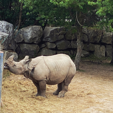 OpenGraph image for photo.cate.blog/2020/07/%f0%9f%a6%8f/