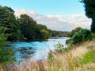 OpenGraph image for photo.cate.blog/2020/08/%e2%98%80%ef%b8%8f%f0%9f%87%ae%f0%9f%87%aa-2/