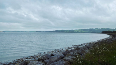 OpenGraph image for photo.cate.blog/2020/08/%e2%98%81%ef%b8%8f-13/