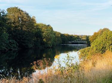 OpenGraph image for photo.cate.blog/2020/08/%f0%9f%8c%bc-2/