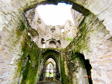 OpenGraph image for photo.cate.blog/2020/08/%f0%9f%92%9a-3/