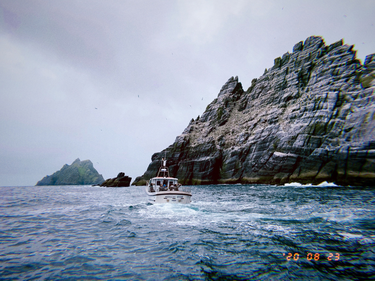 OpenGraph image for photo.cate.blog/2020/08/%f0%9f%9a%a4%f0%9f%8c%8a/