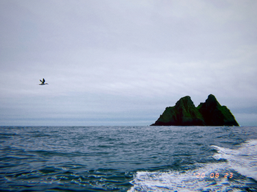 OpenGraph image for photo.cate.blog/2020/08/%f0%9f%a6%85%e2%9b%b0%f0%9f%8c%8a/