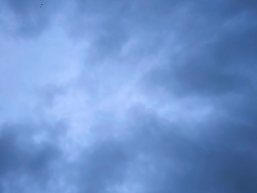 OpenGraph image for photo.cate.blog/2020/09/%e2%98%81%ef%b8%8f-in-the-sky-garden-%f0%9f%87%ae%f0%9f%87%aa/