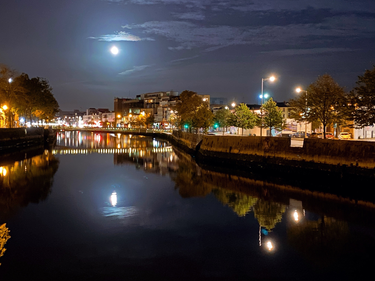 OpenGraph image for photo.cate.blog/2020/09/%f0%9f%8c%95-2/