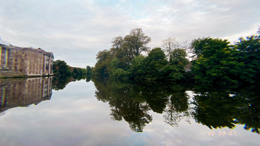 OpenGraph image for photo.cate.blog/2020/09/%f0%9f%8c%b3%f0%9f%87%ae%f0%9f%87%aa-2/