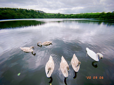 OpenGraph image for photo.cate.blog/2020/09/%f0%9f%a6%a2%f0%9f%a6%a2%f0%9f%a6%a2-2/