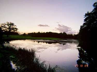 OpenGraph image for photo.cate.blog/2020/10/%e2%98%81%ef%b8%8f%f0%9f%92%a6/