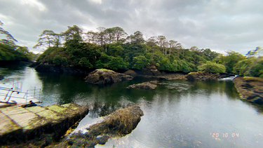 OpenGraph image for photo.cate.blog/2020/10/%f0%9f%8c%b3%f0%9f%87%ae%f0%9f%87%aa-3/