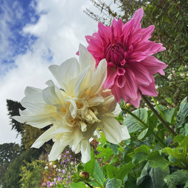 OpenGraph image for photo.cate.blog/2020/10/%f0%9f%8c%ba-4/