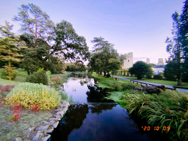 OpenGraph image for photo.cate.blog/2020/10/%f0%9f%8f%9e/