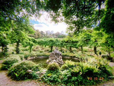 OpenGraph image for photo.cate.blog/2020/10/%f0%9f%92%9a-4/