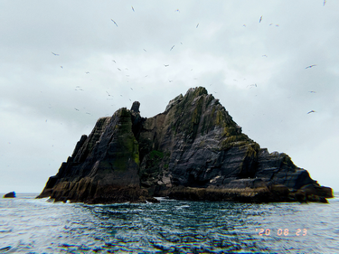 OpenGraph image for photo.cate.blog/2020/10/birds-%f0%9f%90%a6/