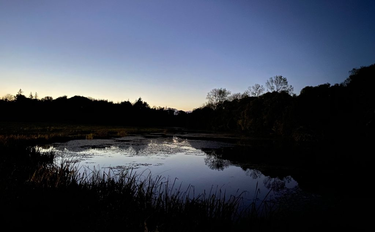 OpenGraph image for photo.cate.blog/2020/10/dusk-%f0%9f%87%ae%f0%9f%87%aa-6/