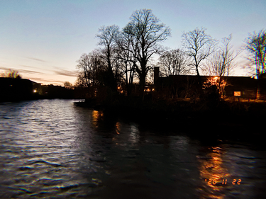 OpenGraph image for photo.cate.blog/2020/11/%f0%9f%8c%b3-16/