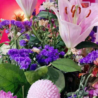 OpenGraph image for photo.cate.blog/2020/11/%f0%9f%92%90-13/