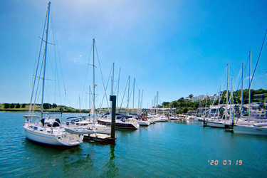 OpenGraph image for photo.cate.blog/2020/11/%f0%9f%9a%a4-3/