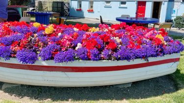 OpenGraph image for photo.cate.blog/2020/11/%f0%9f%9b%b6%f0%9f%92%90/