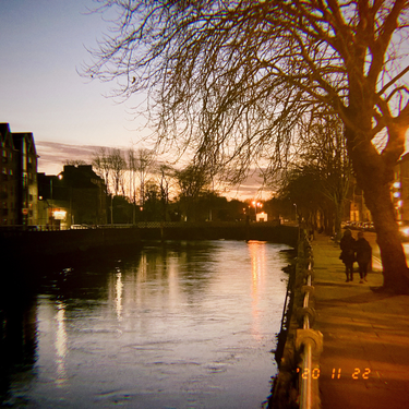 OpenGraph image for photo.cate.blog/2020/11/fall-%f0%9f%8d%81-2/