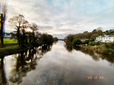 OpenGraph image for photo.cate.blog/2020/12/%f0%9f%8c%b3%e2%98%80%ef%b8%8f/