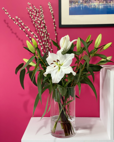 OpenGraph image for photo.cate.blog/2020/12/%f0%9f%8c%ba-5/