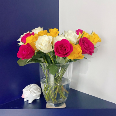 OpenGraph image for photo.cate.blog/2020/12/%f0%9f%92%90-14/