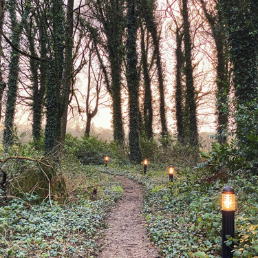 OpenGraph image for photo.cate.blog/2020/12/forest-%f0%9f%8c%b3/