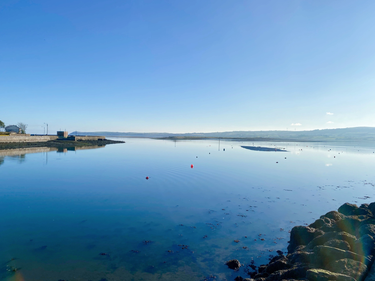 OpenGraph image for photo.cate.blog/2020/12/looks-like-summer-feels-like-winter-%e2%9d%84%ef%b8%8f/