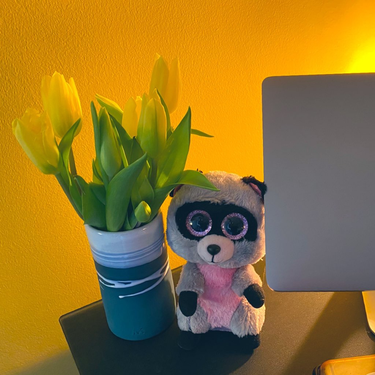 OpenGraph image for photo.cate.blog/2021/01/%f0%9f%92%90%f0%9f%a6%9d/