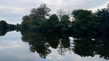 OpenGraph image for photo.cate.blog/2021/01/%f0%9f%aa%9e%f0%9f%8c%b3/