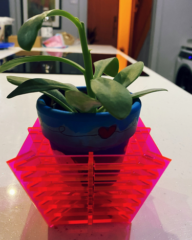 OpenGraph image for photo.cate.blog/2021/01/%f0%9f%aa%b4-2/