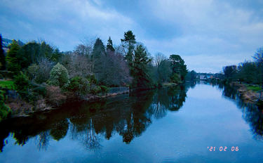 OpenGraph image for photo.cate.blog/2021/02/%f0%9f%8c%b2%f0%9f%8c%b3/