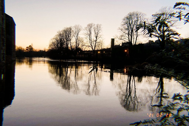 OpenGraph image for photo.cate.blog/2021/02/%f0%9f%8c%b3-19/