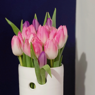 OpenGraph image for photo.cate.blog/2021/02/%f0%9f%8c%b7-10/