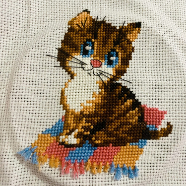 OpenGraph image for photo.cate.blog/2021/02/%f0%9f%90%b1-3/