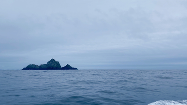 OpenGraph image for photo.cate.blog/2021/03/%e2%9b%b0-6/