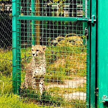 OpenGraph image for photo.cate.blog/2021/03/%f0%9f%90%86/