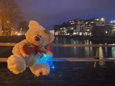 OpenGraph image for photo.cate.blog/2021/03/%f0%9f%a7%b8-2/