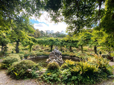 OpenGraph image for photo.cate.blog/2021/03/green-%f0%9f%87%ae%f0%9f%87%aa/