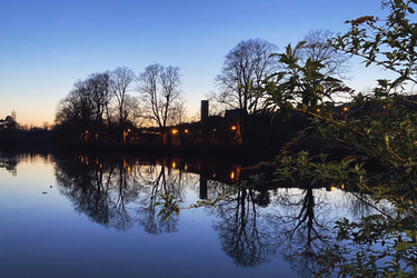 OpenGraph image for photo.cate.blog/2021/04/%f0%9f%8c%85-18/